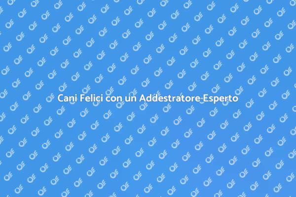 Il Tuo Cane Merita un Addestramento Professionale