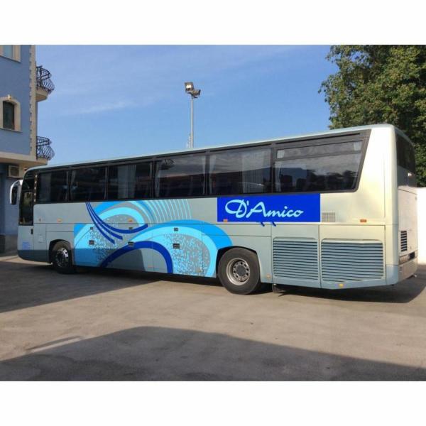 Noleggio Bus D'Amico  - Foto 3