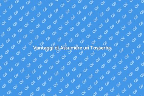 Servizio di Tosaerba per il Giardino