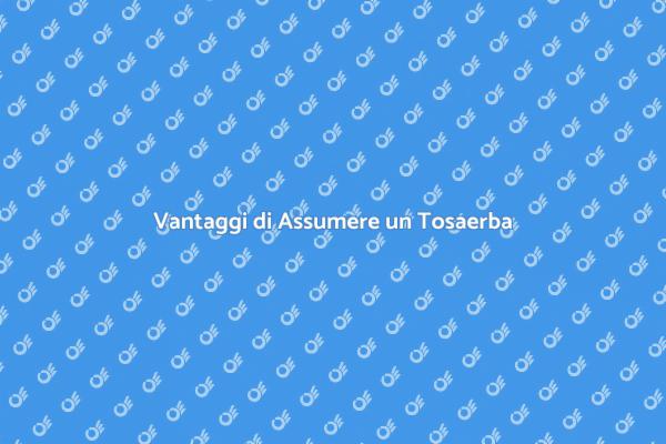 Tosaerba: Giardino Sempre Curato