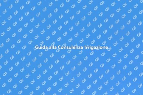 Consulenza Irrigazione Giardino Verde
