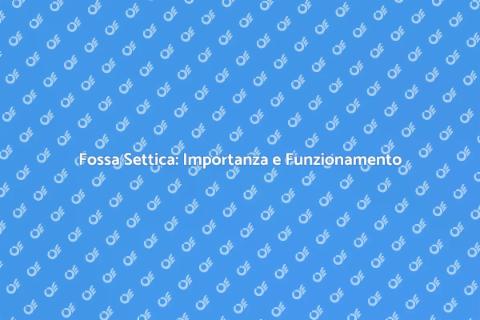Fossa Settica: Guida Completa e Funzioni