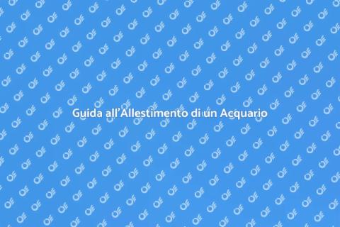 Acquario Ben Allestito: Guida Completa