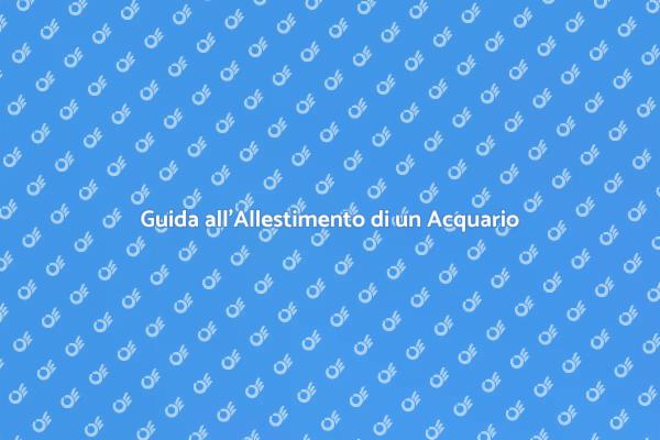 Creare un Acquario da Sogno