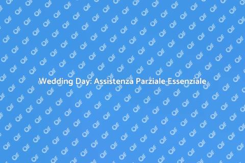 Assistenza Parziale per il Wedding Day