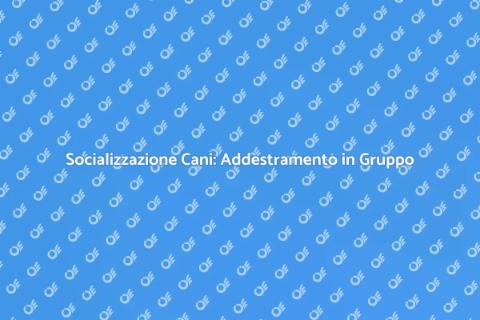 Addestramento Cani in Gruppo Efficace