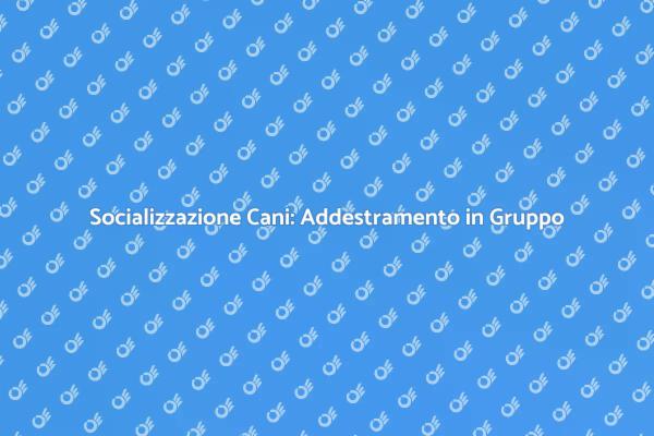 Addestramento Cani: Vantaggi del Gruppo