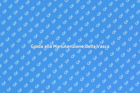 Manutenzione Struttura Esterna Vasca