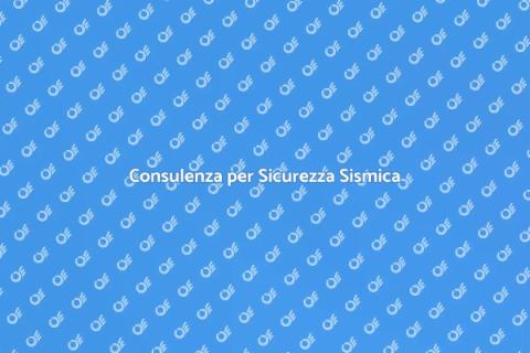 Servizi di Consulenza Sismica