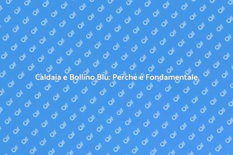 Bollino Blu per Caldaia: Importanza