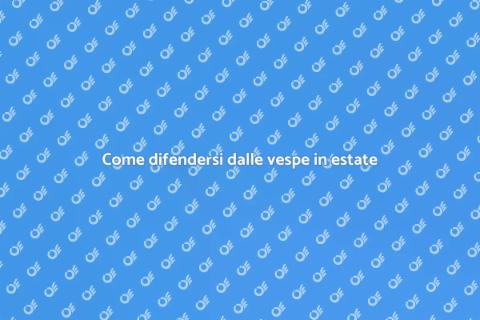 Protezione dalle vespe per la tua casa
