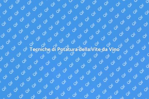 Potare la Vite da Vino: Guida Essenziale
