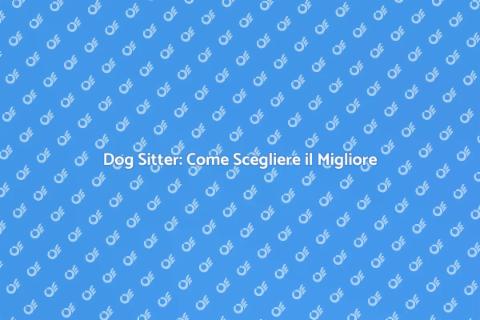 Assumere un Dog Sitter: Guida Pratica