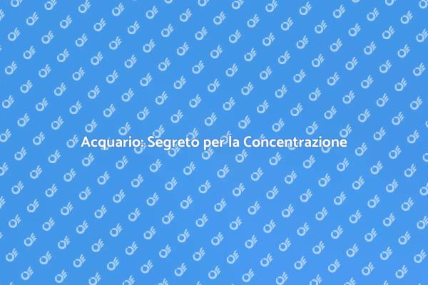 Migliora la Tua Concentrazione con un Acquario
