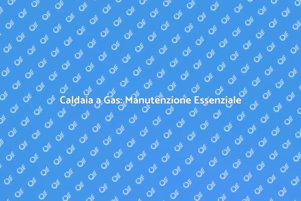 Sicurezza e Comfort: Manutenzione Caldaia