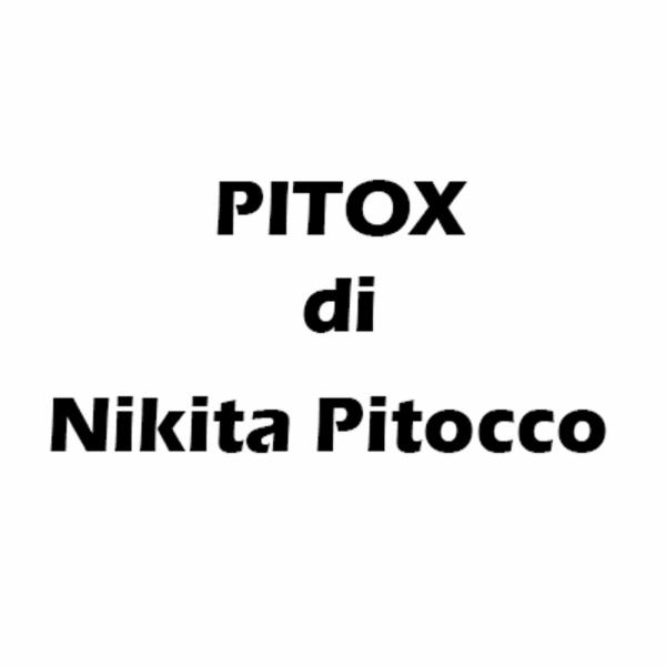 Pitox di Nikita Pitocco  - Foto 1