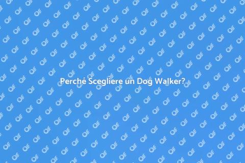 Dog Walker: La Dolce Vita con il Tuo Cane