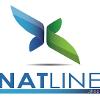 Natalino Palummo