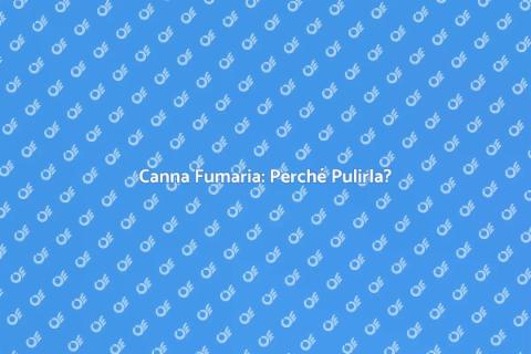 Pulizia Canna Fumaria: Sicurezza Camino