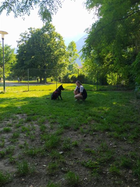 Studentessa pet sitter - Foto 2