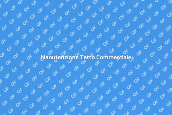Pulizia Tetto: Sicurezza e Bellezza