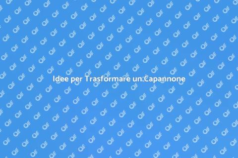 Trasformare un Capannone in Spazi Utili