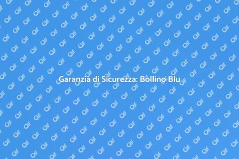 Consulenza Bollino Blu Caldaia Sicura