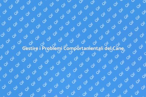 Addestramento Cani: Problemi Comportamentali