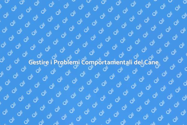 Risolvere i Problemi Comportamentali dei Cani