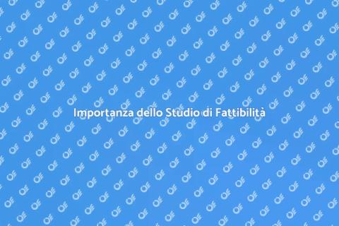Studio di Fattibilità Elettrica