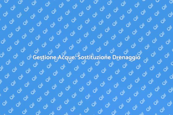 Sostituzione Drenaggio: Un Passo Fondamentale