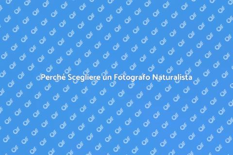 Fotografia Naturalista: Assumi un Pro