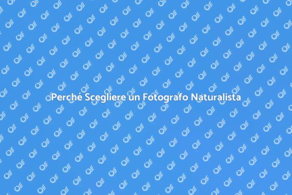 L'Arte di Assumere un Fotografo Naturalista