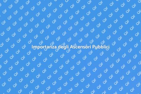 Ascensori per Edifici Pubblici