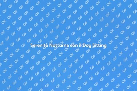 Dog Sitting Notturno: La Soluzione Ideale