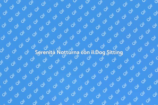 Dog Sitting Notturno per il Tuo Fido