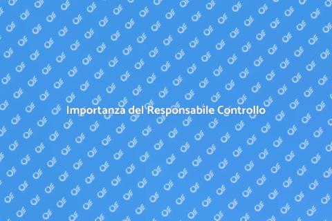 Nomina Responsabile Controllo Gestione