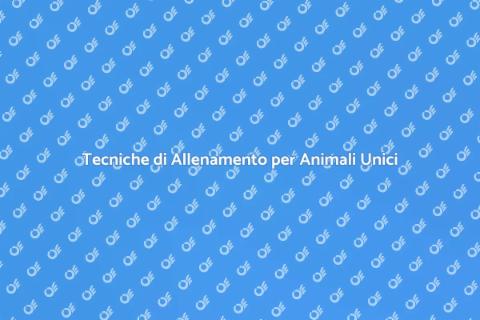 Allenamento Animali Domestici Unici