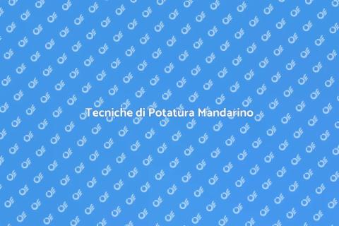 Potatura Alberi di Mandarino