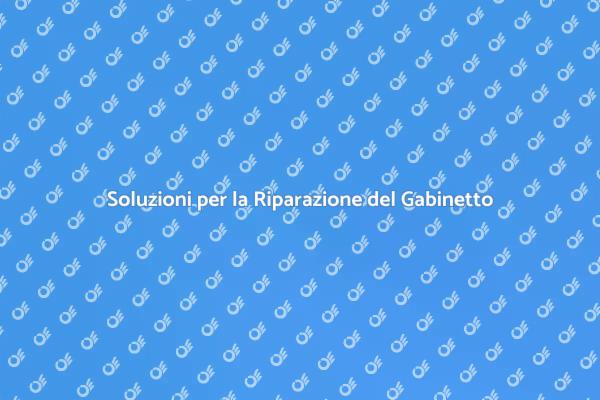 Come Riparare il Gabinetto Senza Stress