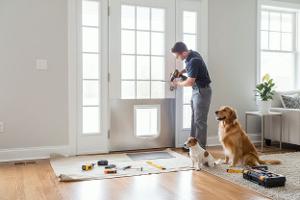 installare porte per cani: Da €50