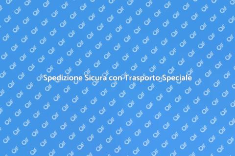 Trasporto Speciale: Sicurezza Garantita