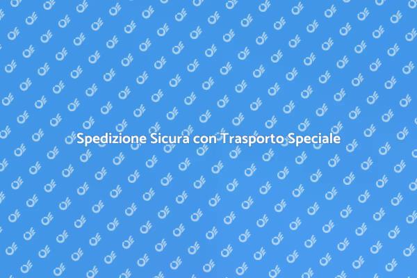 Trasporto Speciale: Affidabilità e Sicurezza
