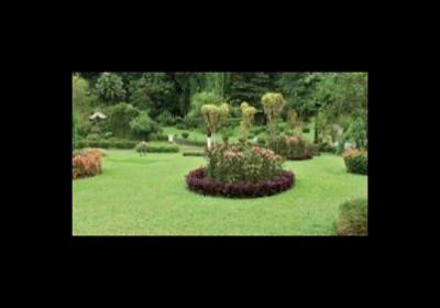 Crotti Giardini di Crotti Alfredo  - Foto 3