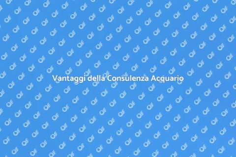 Consulenza Acquario Nano Biotico