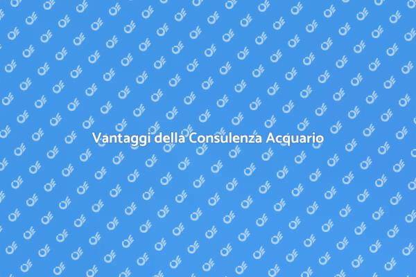 Trasforma il tuo Acquario con Esperti
