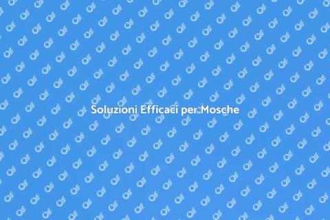 Disinfestazione per Mosche Efficace
