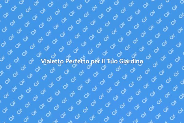 L'Arte di Posare un Vialetto