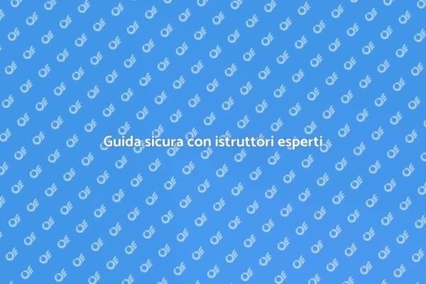 Scegli istruttori per una guida sicura