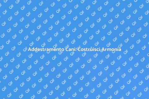 Addestramento Cani: Un Viaggio di Armonia